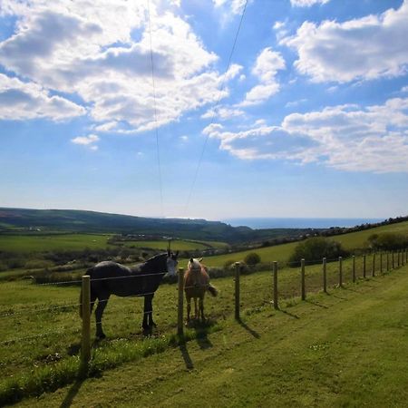فيلا 1 Bed In Boscastle Lpenc المظهر الخارجي الصورة