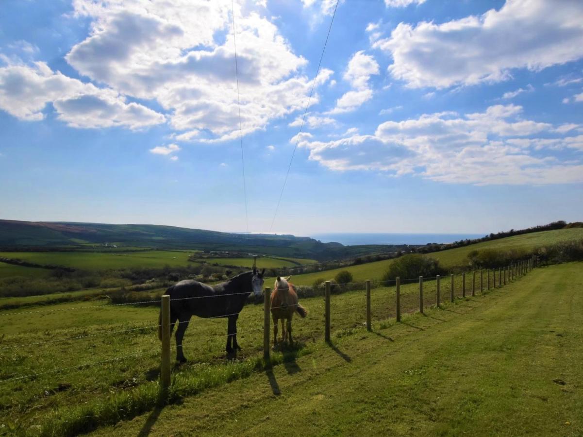 فيلا 1 Bed In Boscastle Lpenc المظهر الخارجي الصورة